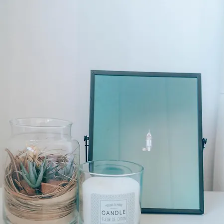 Shoreline アパート モレド